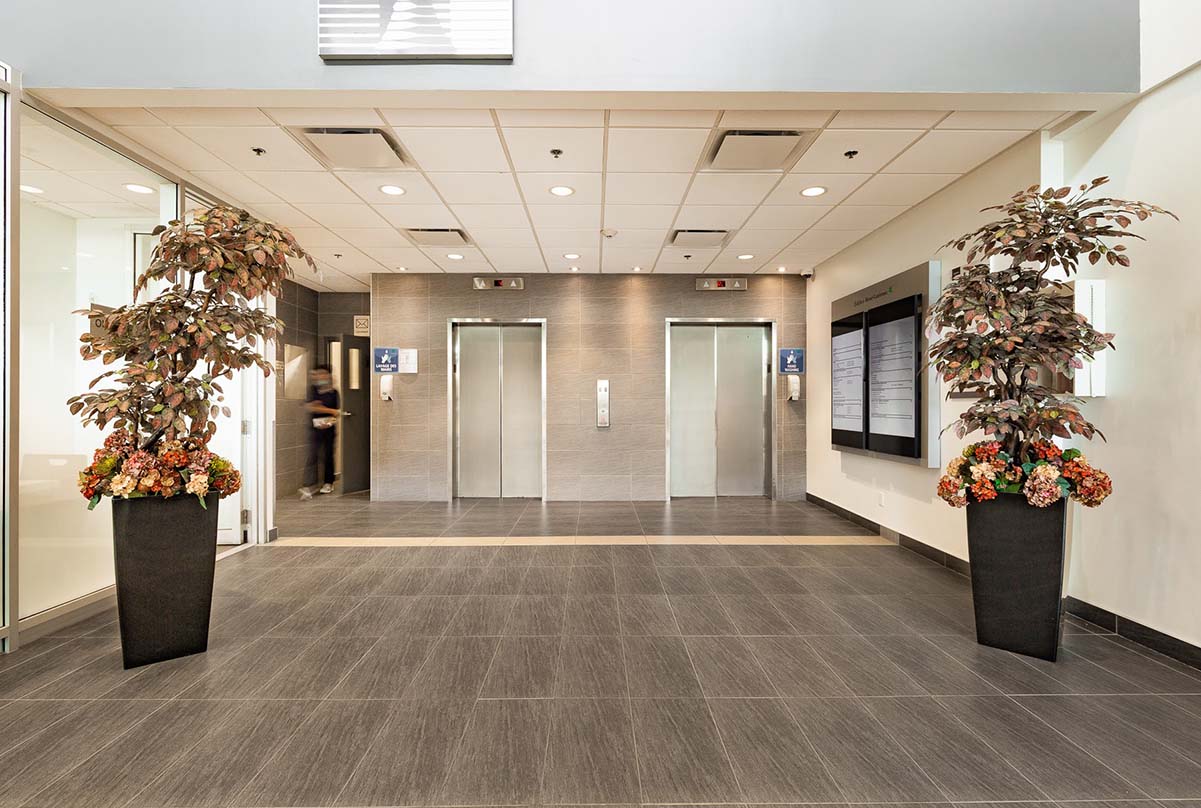 Renelaennec-office-02